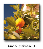 Andalusien 1